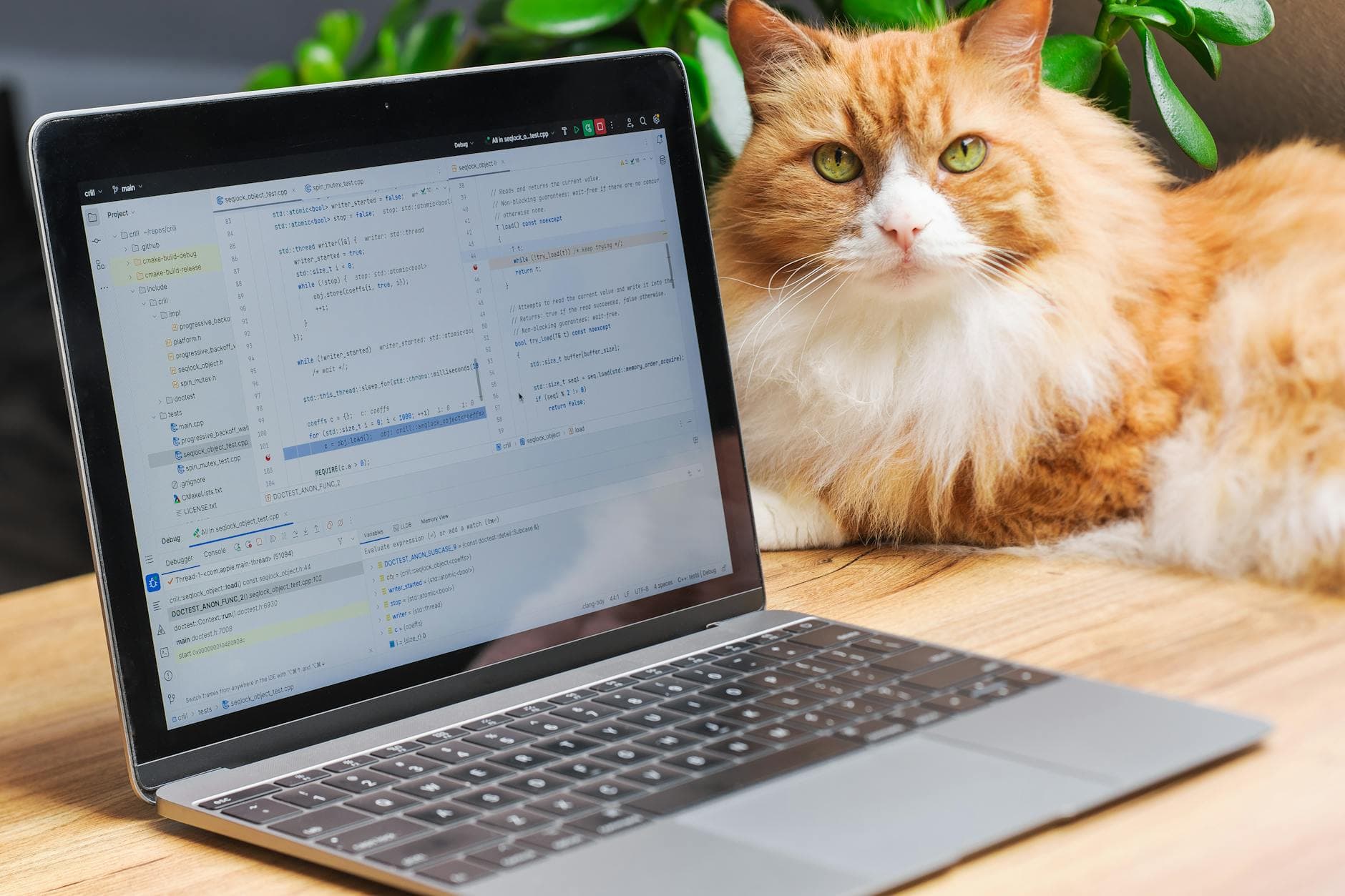 wxWidgets in 2026: Why a Mature Framework Is a Strategic Choice